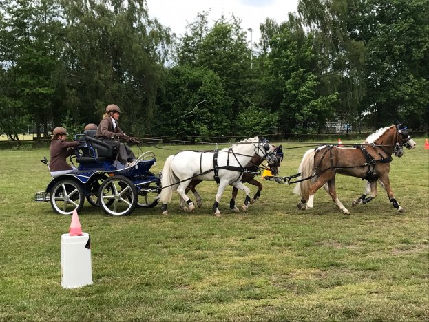 Eerste menwedstrijd bij de Maresca Ruiters geslaagd!