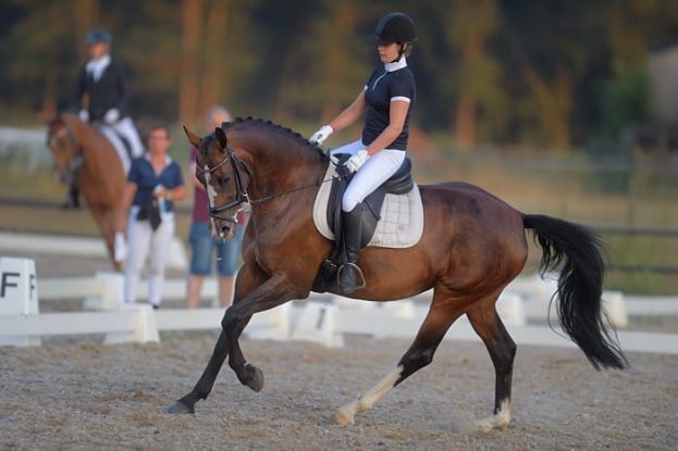 Maresca Ruiters Trofee in de lokale media